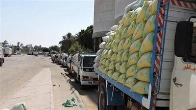 اليوم.. ميناء سفاجا يستقبل 63 الف طن قمح قادمة من روسيا