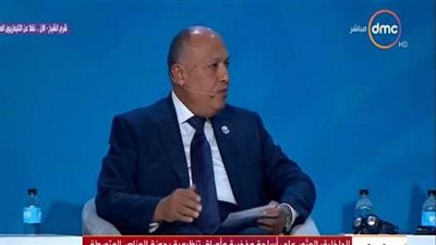 وزير الخارجية يشارك في حلقة نقاشية بعنوان 