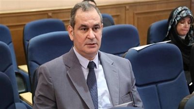 برلمانى: صندوق التمويل العربى الأفريقى حلم كل شعوب المنطقة 