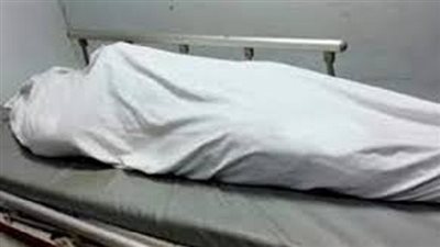 مصرع شقيقان بسبب انزلاقهم من اعلى سيارة اثناء نقل جهاز نجلة احدهم والمقبلة على الزواج بالدقهلية