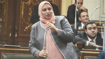 برلمانية: الحكومة بدأت إتخاذ خطوات لحل مشكلة التسويات للموظفين الحاصلين على مؤهلات عليا أثناء الخدمة