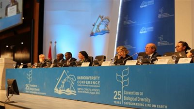 ياسمين فؤاد تعلن إعتماد المشروع الوزارى الأفريقي في الجلسة الختامية لقمة الوزراء الأفارقة 