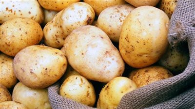 «زراعة البرلمان» توصي بالإفراج عن كميات البطاطس المتحفظ عليها