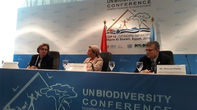 الأمم المتحدة: مصر لها دور هام في توقيع اتفاقيات حفظ التنوع البيولوجي