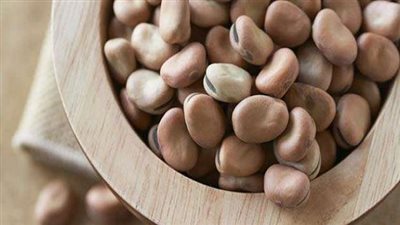 رئيس شعبة البقوليات يوضح أسباب ارتفاع سعر الفول