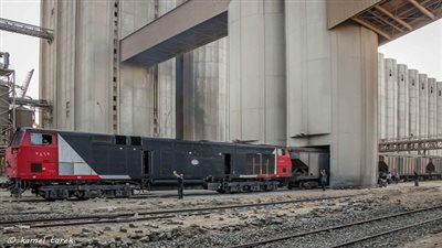 حركة قطارات البضائع العامة بميناء دمياط خلال الـ 24 ساعة الماضية