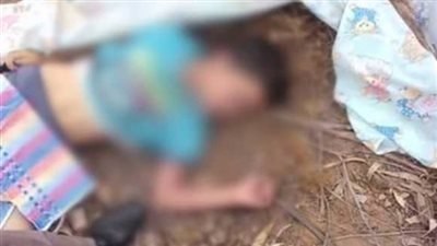 مصرع طفل اثر سقوط تفريغ حموله حديد مسلح من اعلي جرار زراعي بالدقهلية