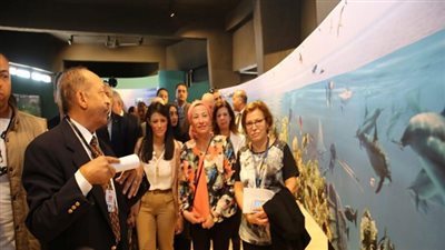 مركز زوار رأس محمد يقدم خدمات عالمية جاهزة لإستقبال زوار المحمية