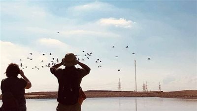 زيارات ميدانية لمشاهدة الطيور المهاجرة بمنطقة بحيرات الأكسدة بشرم الشيخ 