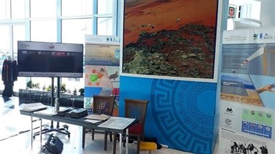 مصر تنال إشادة المجتمع الدولي في مشروع حماية الطيور المهاجرة 