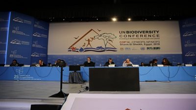 وزيرة البيئة تترأس الجلسة العامة باليوم قبل الأخير لمؤتمر الأطراف الرابع عشر لاتفاقية التنوع البيولوجي 