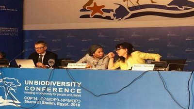 مناقشة دور التعاون الإقليمي في أجندة التنوع البيولوجي ما بعد 2020 