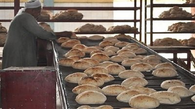 الحكومة تتجه إلى الشعير لإنتاج «الرغيف المخلوط»