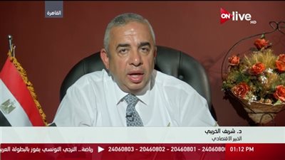 خبير أقتصادى: علاقة مصر بافريقيا عادت بقوة بعد عامين من حكم الرئيس السيسي
