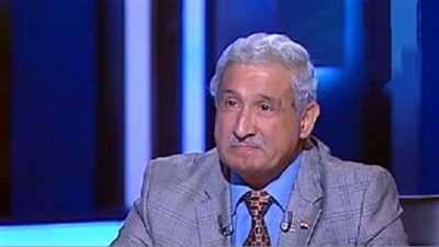 خبير: مصر تستطيع تقديم مشروعات عديدة للربط بين دول القارة الإفريقية