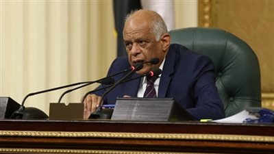 عبد العال: مناقشة أزمات وصراعات الوطن العربي خارجه يثير الدهشة