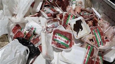 الصحة: ضبط وإعدام 241 طن أغذية فاسدة بمحافظات الجمهورية خلال شهر