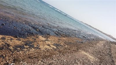 لجنة عاجلة من البيئة لبحث تلوث زيتي برأس غارب