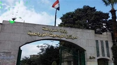 رئيس مركز البحوث الزراعية يفتتح محطة ري تدار بالطاقة الشمسية بقرية توماس في الأقصر