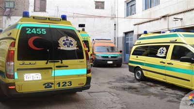 مصرع عامل بسبب اصطدامه بسيارة نقل بالدقهلية 