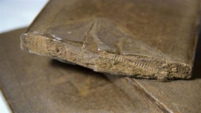 ضبط شخصين بحوزتهم كمية كبيرة من المخدرات وسلاح ناري بالدقهلية