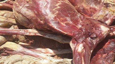 نائب المحافظ: مصادرة 400 كيلو لحوم فاسدة باحد المحلات بترعة الخشاب بحى المعصرة