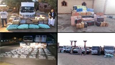 جهود مكثفة لقوات حرس الحدود خلال عام 2018