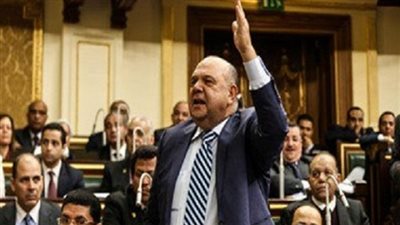 برلمانى: التكاتف للتوعية بمخاطر الزيادة السكانية وانعكاسها على معدلات التنمية