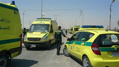 مصرع طفلة دهستها سيارة بطريق فيشا سليم بطنطا