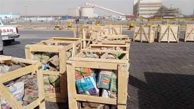 البيئة تساهم في إحباط  تهريب 50 طن اشجار متحجرة الى الصين