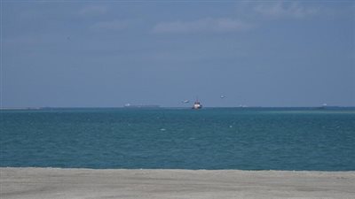 اختتام  فعاليات التدريب البحرى المشترك( الموج الأحمر -1) 