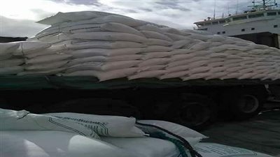 وصول 63 الف طن قمح روسى لميناء سفاجا 