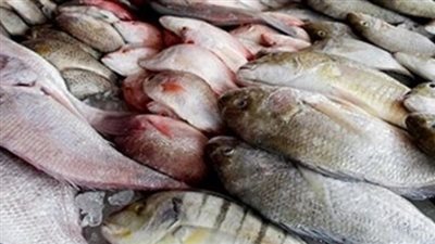 ننشر أسعار الأسماك والدواجن في الأسواق