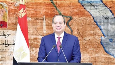 السيسي يكلف بإقامة مجمع موحد مميكن للمصالح الحكومية بالوادي الجديد