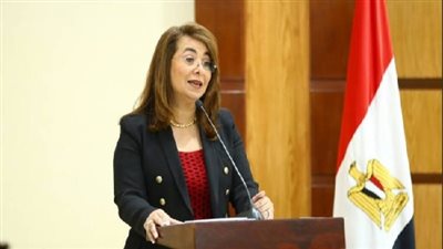 والي: 2 مليار و953 مليون جنيه المنصرف للنفقة منذ بداية عمل صندوق تأمين الأسرة 