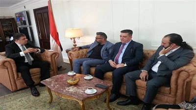 تعاون اعلامي بين مصر والامارات 