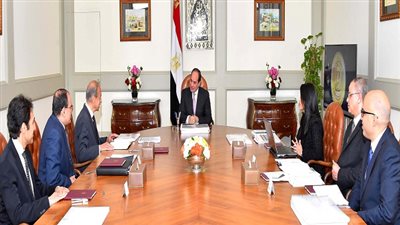 الرئيس السيسي يجتمع مع لجنة تطوير منطقة المنتزه