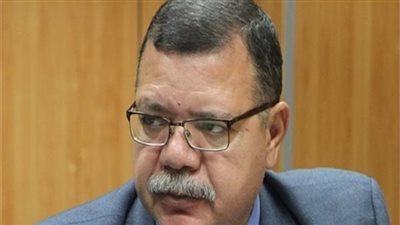 وزارة البترول: مصر ستلعب دورا أستراتيجي فى 