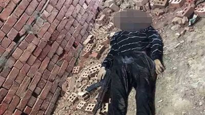 الداخلية: القضاء على خلية إرهابية بالعريش ومصرع 5 من عناصرها