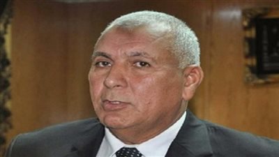 محافظ الوادي الجديد  ضيف برنامج مصر النهاردة.. الليلة