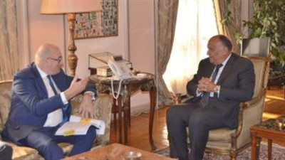 شكرى يبحث مع مسؤول أوروبى إمكانية تدشين تعاون ثلاثي مع دول إفريقيا