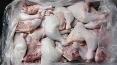 ضبط أكثر من 6 طن دواجن نافقة بقرية مناوهلة بالمنوفية