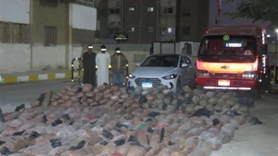 أسفل حمولة جبس