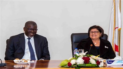 الأمين العام للاتحاد الدولي لجمعيات الصليب والهلال الأحمر يزور جامعة الدول العربية