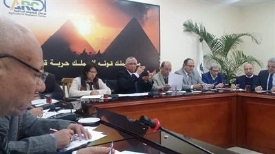 صندوق للرعاية الصحية والتكافل الاجتماعي للباحثين والعاملين بمركز البحوث الزراعية