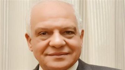 محافظ الجيزة: رصف وتركيب أعمده انارة حديثة ونخيل بالجزيرة الوسطى بشارع ترسا