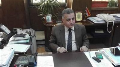 وزارة الكهرباء تشارك فى اجتماع المبادرة الأفريقية للطاقات المتجددة AREI 