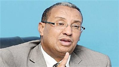 الغندور: تم تسكين 77 أسرة اثر سقوط صخرة منشية ناصر