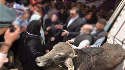 الأحد.. الزراعة تشارك في توزيع 