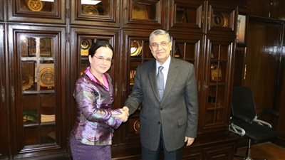 وزير الكهرباء يبحث سبل دعم وتعزيز التعاون مع نائب وزير الخارجية الرومانى فى قطاع الكهرباء